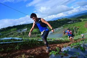 BIB: 289
                            <button type="button" onclick="openModal(13381383)" class="btn btn-primary btn-sm float-right btn-popup" data-toggle="modal" data-target=".modal-high-quality">
                        <i class="fas fa-shopping-cart"></i> Add to Cart
                    </button>
                                            <button type="button" onclick="isThisMe(13381383, true)" class="btn btn-success btn-sm float-right btn-popup btn-isme hidden" data-toggle="tooltip" data-placement="bottom" title="นี่คือรูปของคุณใช่ไหม คลิกที่นี่เพื่อเอาเข้าอัลบั้ม">
                        <i class="fas fa-plus"></i> Add to album
                    </button>
                    <button type="button" onclick="isThisMe(13381383, false)" class="btn btn-warning btn-sm float-right btn-popup btn-isnotme hidden">
                        <i class="fas fa-ban"></i> Remove from album
                    </button>